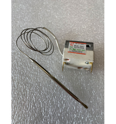 Thermostat de sécurité de cavité E1S