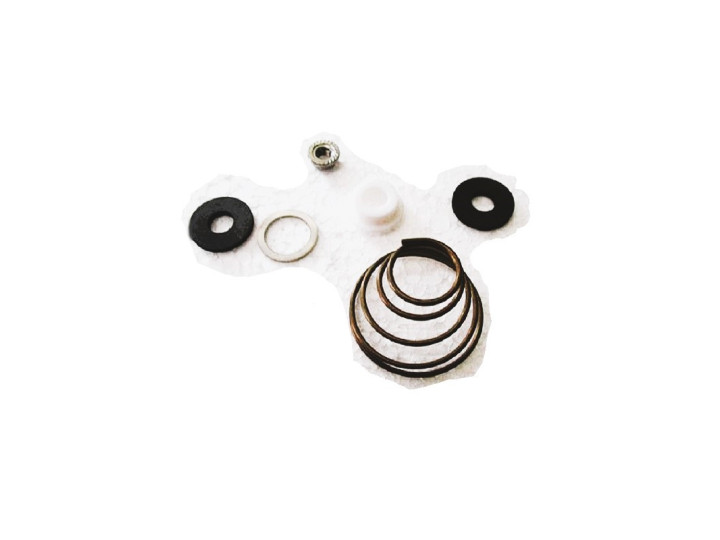 CS Set drive shaft seal SA